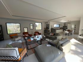 Living room and kitchen