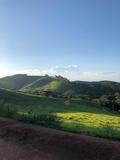 A vendre fazenda 164 ha très bonne qualité de sol et eau propre