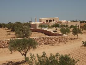 Villa avec vue mer dans oliveraie